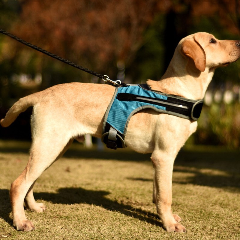 Dog Harness with LED Light Adjustable Comfortable Relieve Neck Pressure