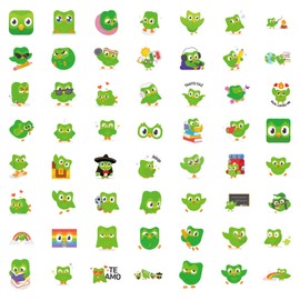 Duolingo Scrawl Stickers for Party Favors,55 PCS Nordic Style Decorate Stickers for Guitar,Phone,Water Bottle,Laptop,Bicycle,Luggage,Waterproof Vinyl for Teens Girls Children