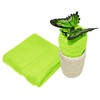 Lashuma Towels, Set of 2, Apple Green, Guest Towels, 30