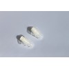 SpentShells® Reusable White/Clear Ear Plugs Noise Filtered Ear Plugs with