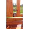 5 x Balcony Cat Nets – Holder – Stainless Steel