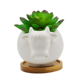 Cuteforyou Succulent Pots,Cute Cartoon Cow Shaped Ceramic Succulent Cactus Flower Pot,Pencil Holders,Desk Accessories, Makeup Brush Storage Stand-Plant Not Included (with Tray)