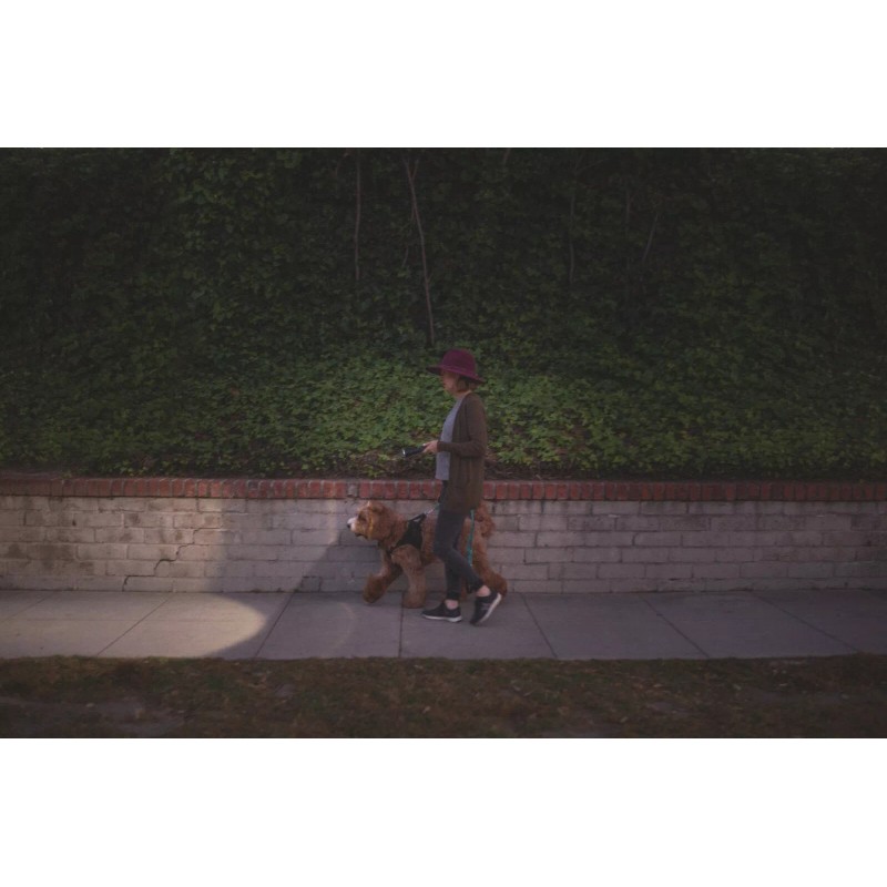 LUXPRO 1650 Lumens CREE LED Handheld Camping Flashlight w TackGrip