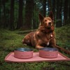 Wilderdog Silicone Pet Placemat Made with 100% Food-Grade Silicone Cone,