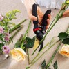 RONAVO Pruning Shears, Steel Blade, Titanium Coated Bypass Type, Pruning