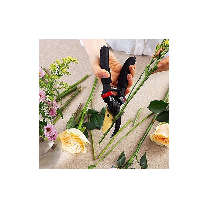 RONAVO Pruning Shears, Steel Blade, Titanium Coated Bypass Type, Pruning