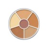 KRYOLAN CONCEALER CIRCLE (NR.2)