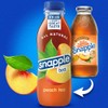 Snapple Tea Variety Pack, 6 Assorted Flavors – Ready-to-Drink Iced