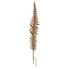 FRANK FLECHTWAREN Fern Leaf, Garden Decoration, Garden Stake, Decorative Stake,