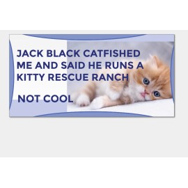 Funny Bumper Stickers For Cars Trucks Window Decal Gen-z Meme Kitten Jack Black