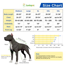 LovinPet Dog Recovery Suit for Large Medium Dogs - Wound Protective Surgical Recovery Snugly Suit for Abdominal Wounds After Surgery Anti-Licking Dog Onesies,Short Legs,XL