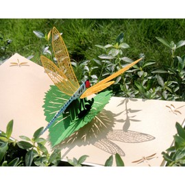 CUTPOPUP Birthday Card Pop Up, Greeting Card 3D Pop Up (Dragonfly) UK