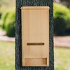 Coveside "Bat"chelor Pad | Bat House | Bat Box