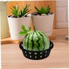 iplusmile 4pcs Fruit Holder Sliding Watermelon Fixing Rings for Display