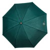 PERLETTI Green Men's Automatic Umbrella with Wooden Handle - Boys