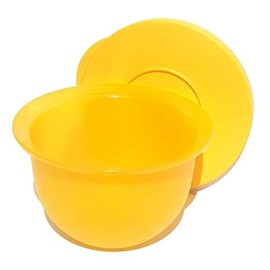 Tupperware Impressions Bowl Small 2 1/2 Cup Mini Mixing Serving Storage Goldenberry Orange