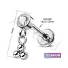 Agrewd Hidden Helix Earrings Dangle G23 Solid Titanium Helix Cartilage