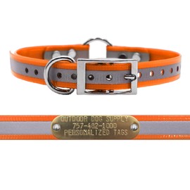 Outdoor Dog Supply's 3/4" Wide Reflective Ring in Center Dog Collar Strap with Custom Brass Name Plate