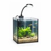 LYPHARD AQUARIUMS Mini Aquarium Set Fish Tank Shrimp Tank Snails