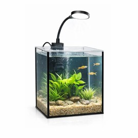 LYPHARD AQUARIUMS Mini Aquarium Set Fish Tank Shrimp Tank Snails Tank Planted Tank 1.2 Gallon Aquarium Kit, Small Desktop Fish Tank for Small Aquatic Pets for Beginner