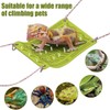 Bearded Dragon Hammock,Reptile Climbing Arboreal Cradle with Suction Cups for