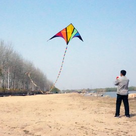 Besra 110inch Rainbow Delta Kite 9.2ft Single Line Kite with 15m Long Tail for Kids and Adults Outdoor Fun Sports for Beach & Park