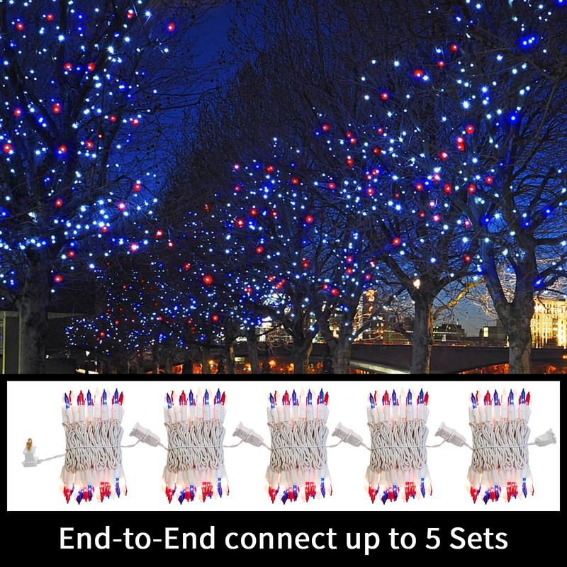 LAMPHOME Patriotic String Lights - Red White Blue Mini Lights