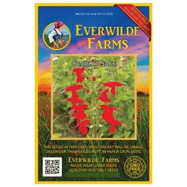 Everwilde Farms - 1000 Scarlet Sage Native Wildflower Seeds - Gold Vault Jumbo Seed Packet