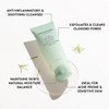 THE FACE SHOP Tea Tree Pore Clarifying Gel Cleanser |