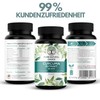 PURE NATURAL CHOICE Curcuma Extract 15000 – TÜV Tested –