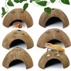 Hamiledyi 7 Pcs Reptile Hideouts Natural Coconut Shells Hut Leopard