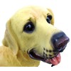 Solaration Labrador Retriever Outdoor Solar Garden Light Dog Lab