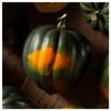 Everwilde Farms - 1 Oz Table King Acorn Winter Squash