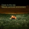 Moss Reptile Carpet, Raise Box Humidity, Fibre Mat for Pet
