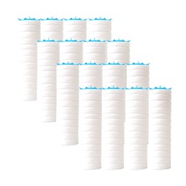 Shower Plus SF150 Rust Removal Filter 16EA - Economical type / 샤워플러스 SF150 녹물제거필터16EA-알뜰형