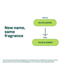 ATTITUDE Liquid Hand Soap, EWG Verified, Plant and Mineral-Based, Vegan Personal Care Products, Pear & Amber, 16 Fl Oz