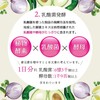 ISDG Diet Enzyme, 232 Types of Vegetable & Fruit Fermentation,