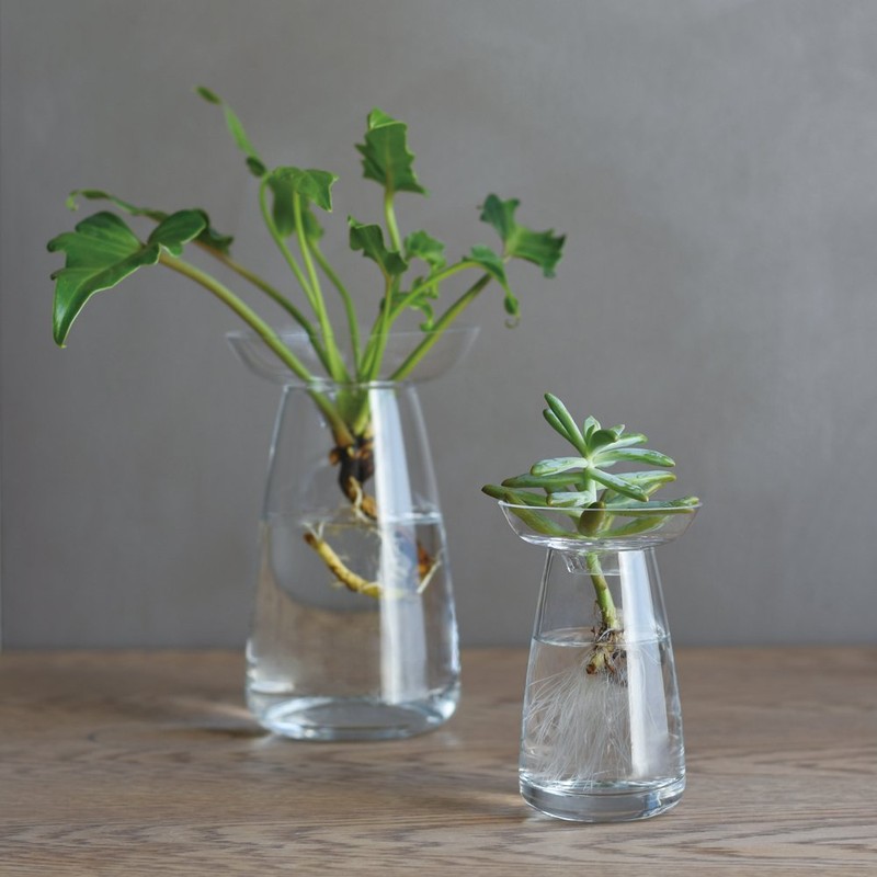 KINTO (キントー) アクアカルチャーベース 120mm クリア フラワーベース ギフト プレゼント 20843