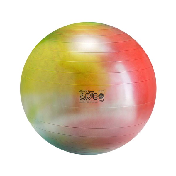 Gymnic Arte Plus Burst-Resistant Exercise Ball (75 cm)
