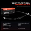 Frankberg Front Brake Hose, Brake Hoses, 410 mm, Compatible with