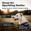 Redbarn 12" Premium Braided Bully Sticks for Dogs - Natural