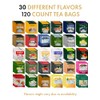 Ahmad Tea Sampler Assortment, Ahmad Variety Pack (120 Count), 30