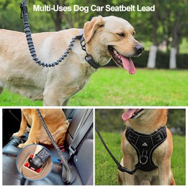 Proxima Direct Dog Car Seat Belt, Elastic Dog Car Harness Lead with Retractable Bungee Buffer, Adjustable Reflective Nylon Pet Dog Collar Leash with Safe Clip Buckle for All Cars Travel Camping Grey