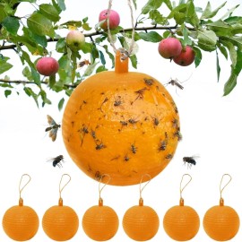 Osseph Fruit Fly Traps Ball Fly Trap Indoor, 6 PCS Wasp Traps Flying Insects Traps B...