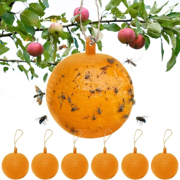 Osseph Fruit Fly Traps Ball Fly Trap Indoor, 6 PCS