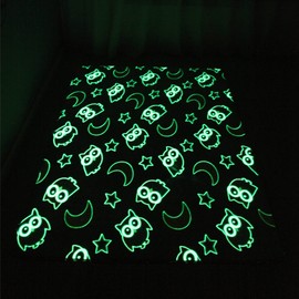 Gefosin Luminous Area Rug Glow in The Dark for Bedroom Living Room, Unique Soft Washable Modern Indoor Rugs for Children Dorm Home Decor, Grey Owl, 32 x 48 inch