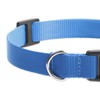 Peture Shock Collar Replacement Strap, 3/4 Inch Stylish & Comfortable