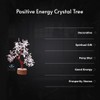 DHYANARSH - Rock Crystal - Stone Tree - for Positivity