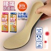 Actika Men's Insole, Back Pain Defense Force Actika Series, beige