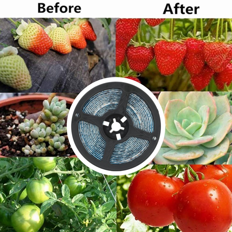 Solar Power 5M LED Plant Grow Lights Indoor Plants Grow